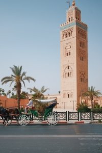 Vibrant scene from Marrakech Medina - essential sight in this Marrakech travel guide